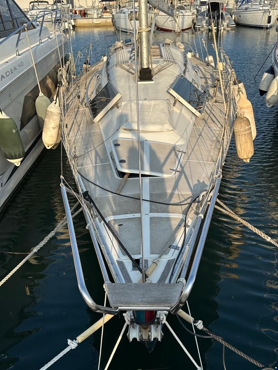 Dynamic 43