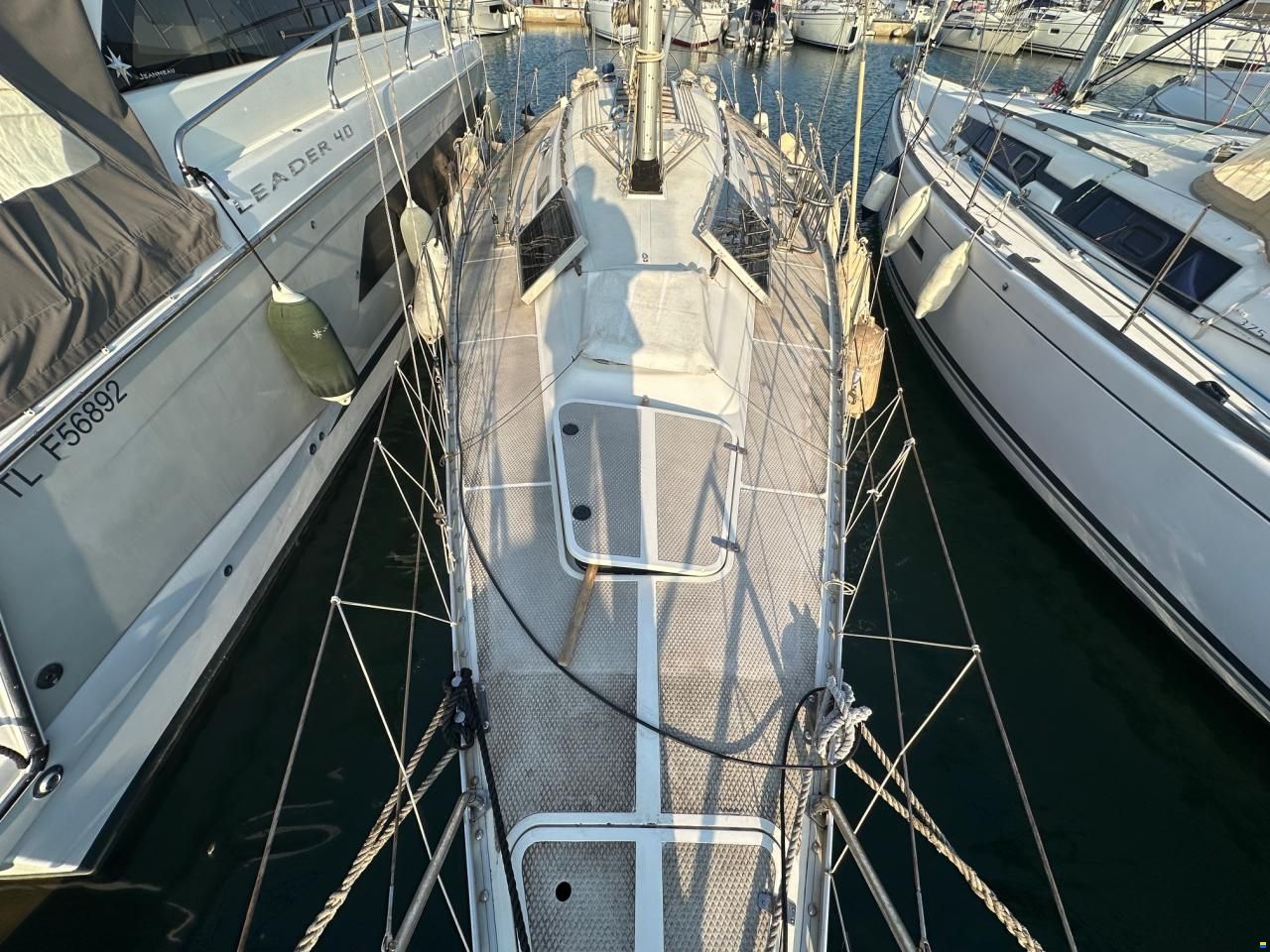 Dynamic 43