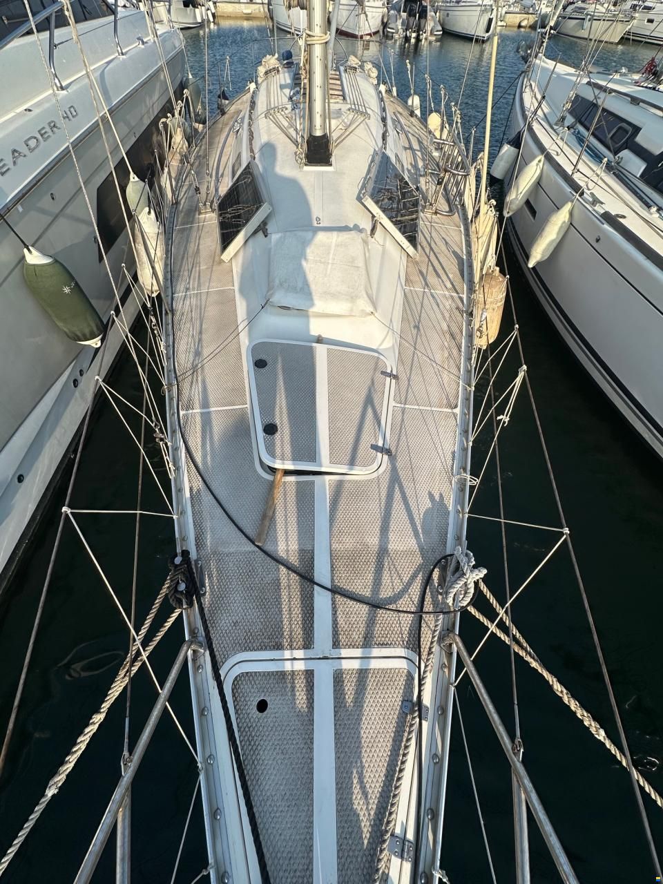 Dynamic 43