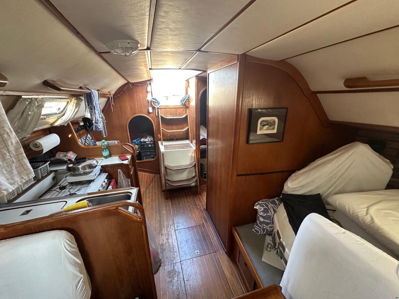 Dynamic 43