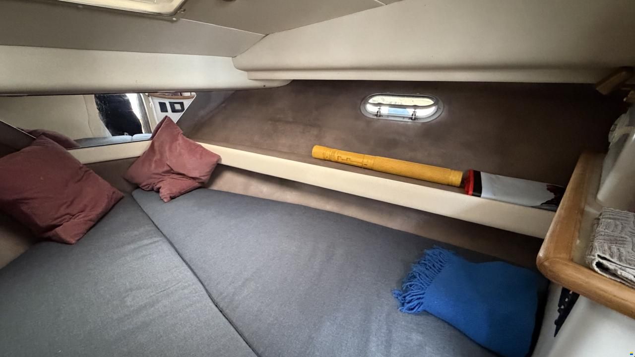 Bayliner 3688 Fly