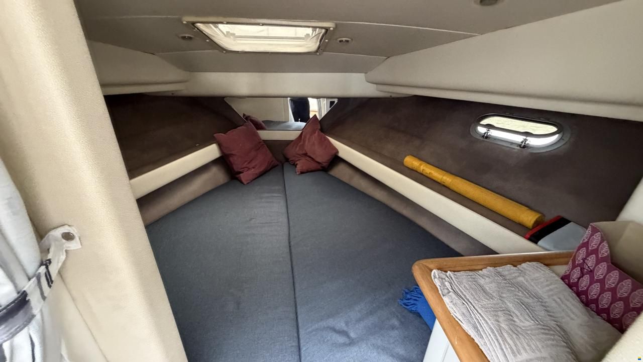 Bayliner 3688 Fly
