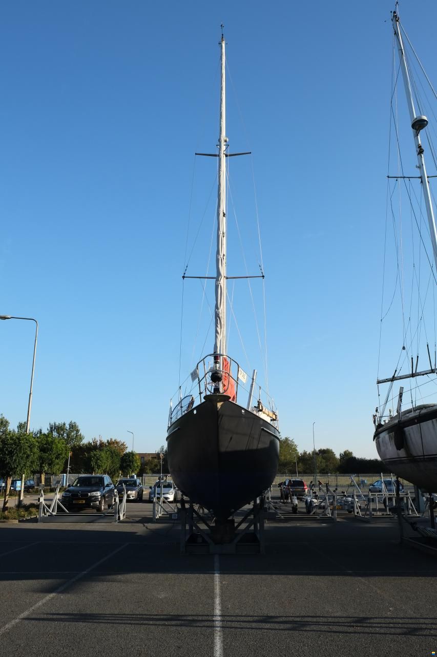 Koopmans One-Off