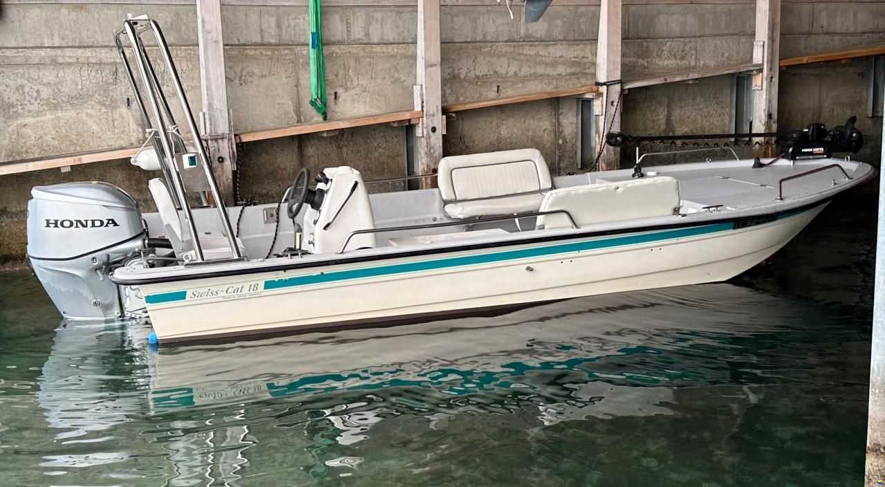 Lehmann Swiss Cat 18 Lehmann