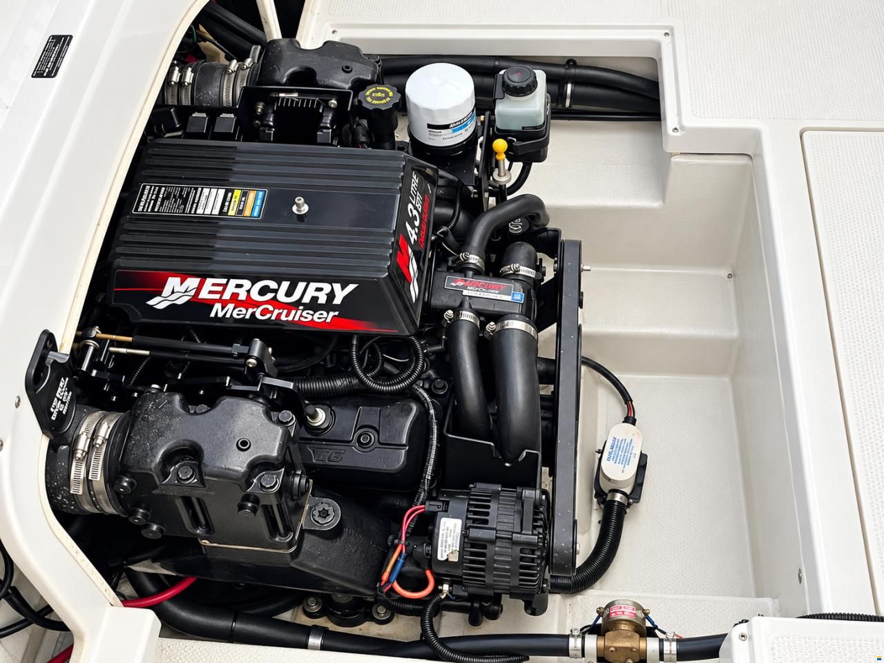 Celebrity 220 CC