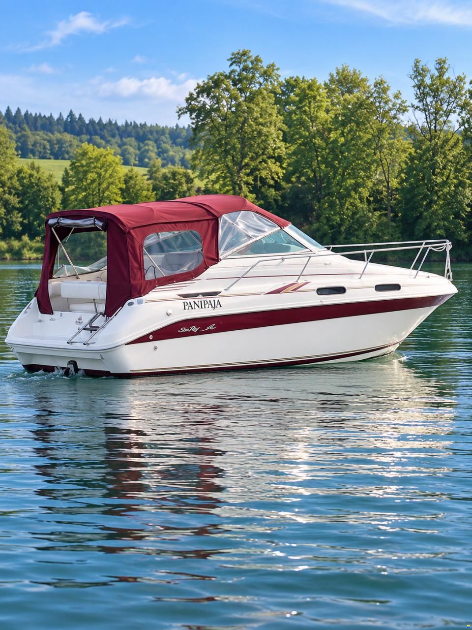 Sea Ray 230 DA LTD
