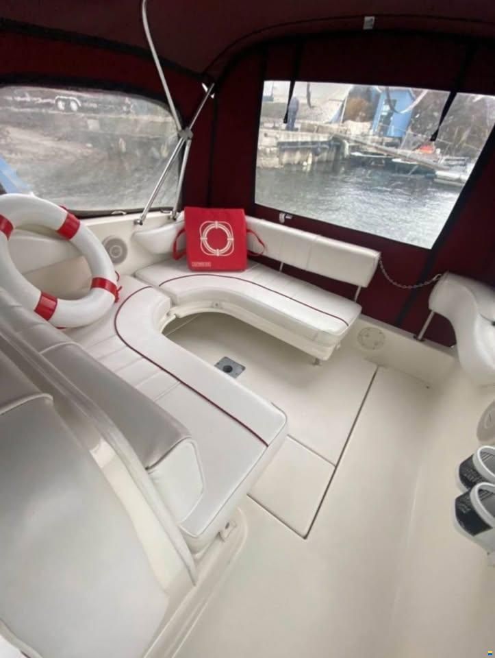 Sea Ray 230 DA LTD