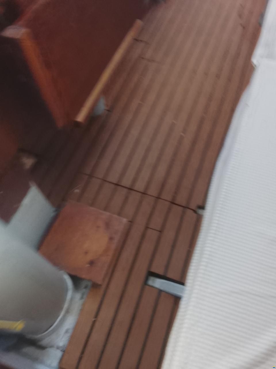 Levrier de Mer 34