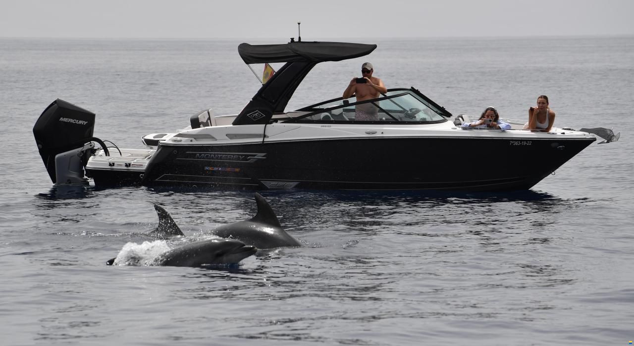 Monterey 255SS