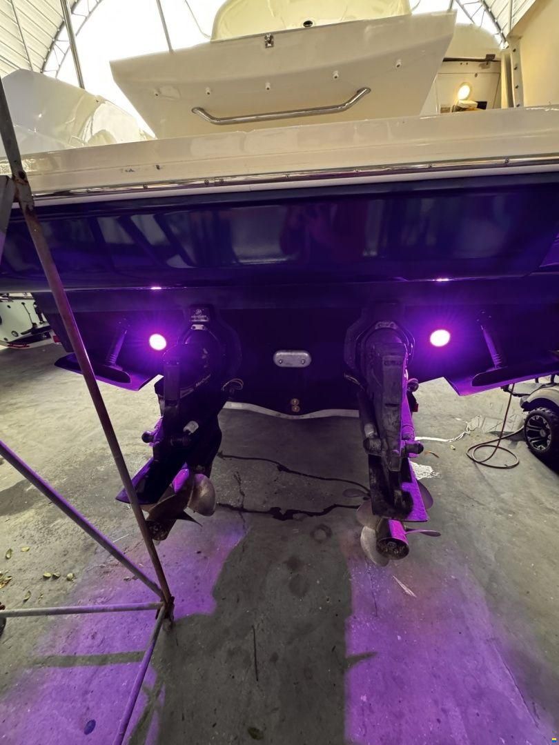 Sea Ray 310