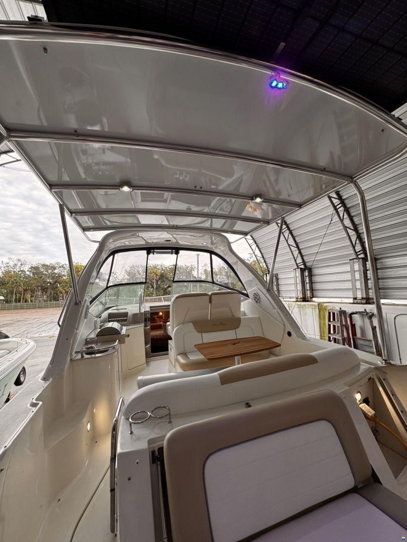 Sea Ray 310