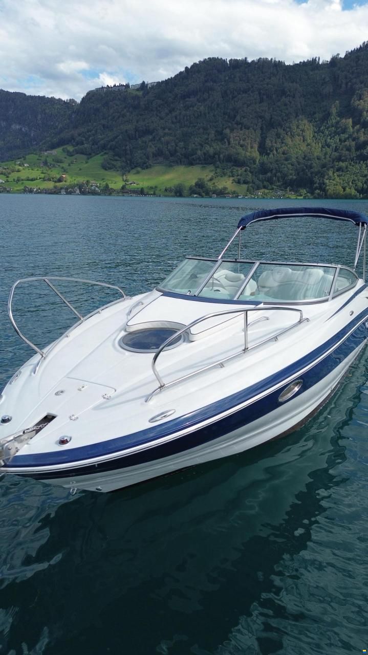 Crownline 255