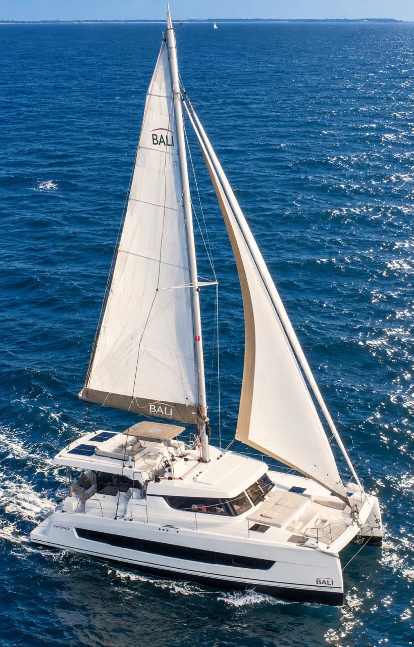 Bali Catspace 40