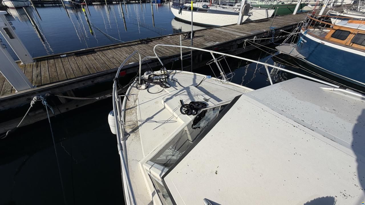 Birckwood 25 HT