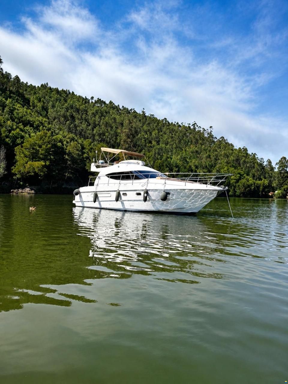 Azimut 36 1994