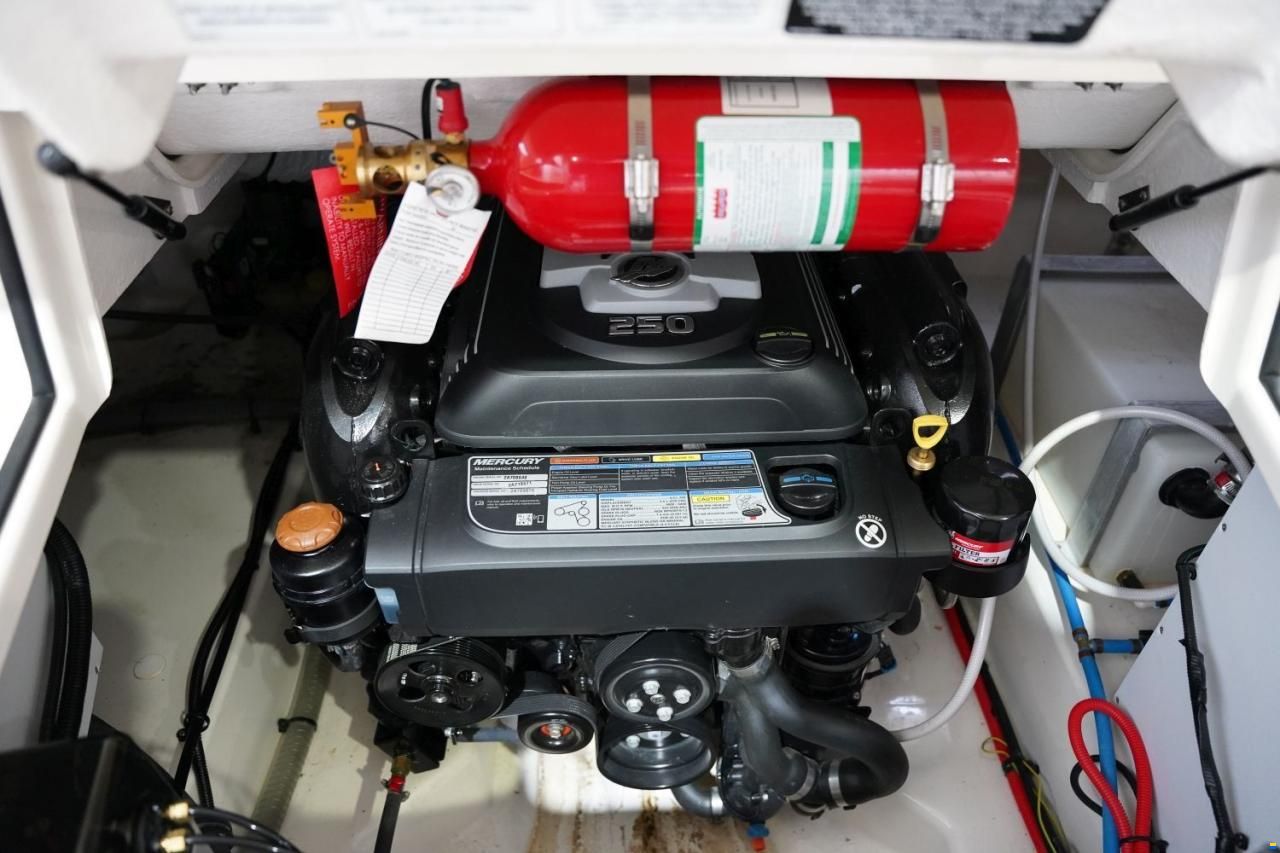 Bayliner VR 6 CUDDY