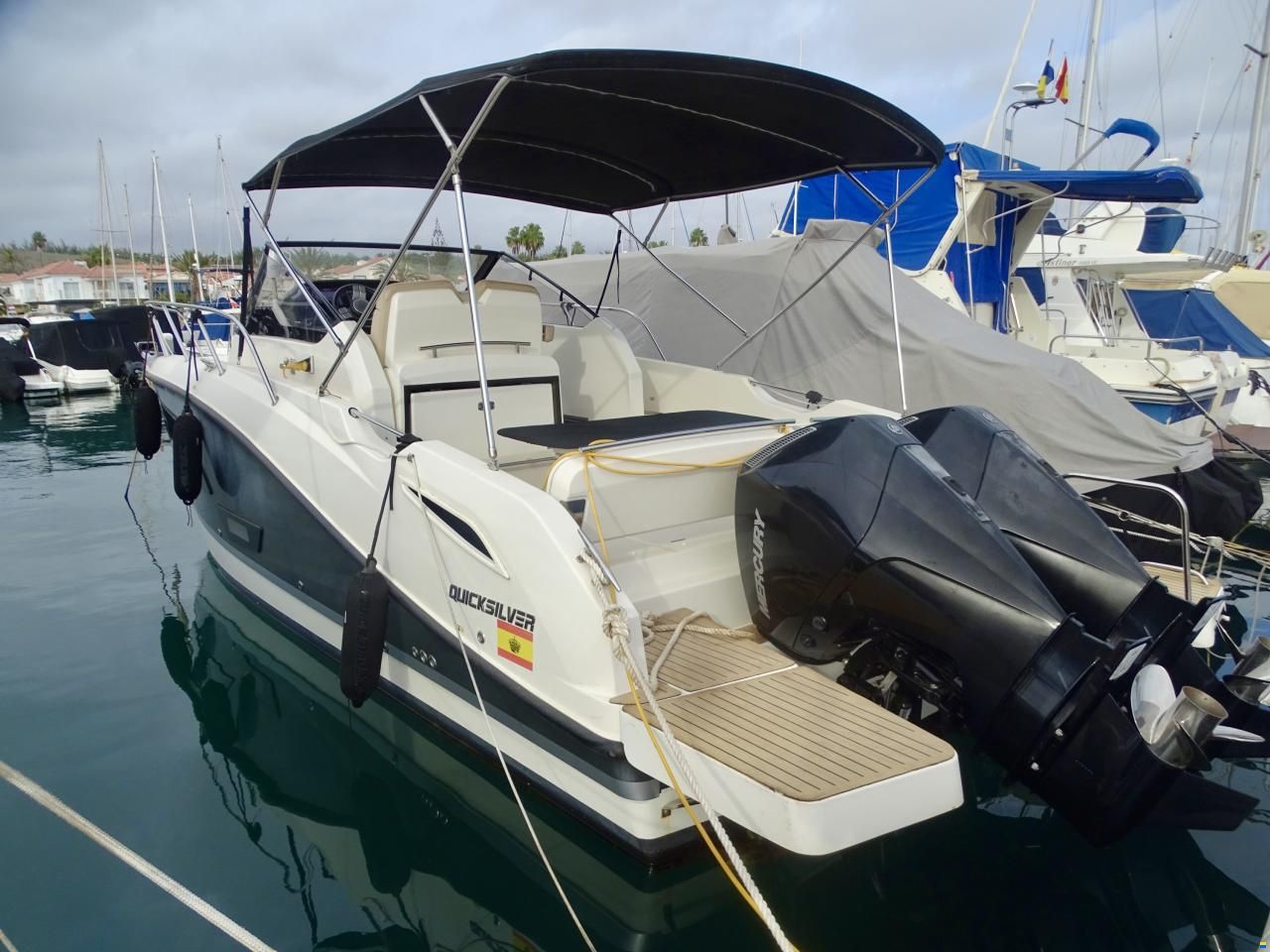 Quicksilver QS875