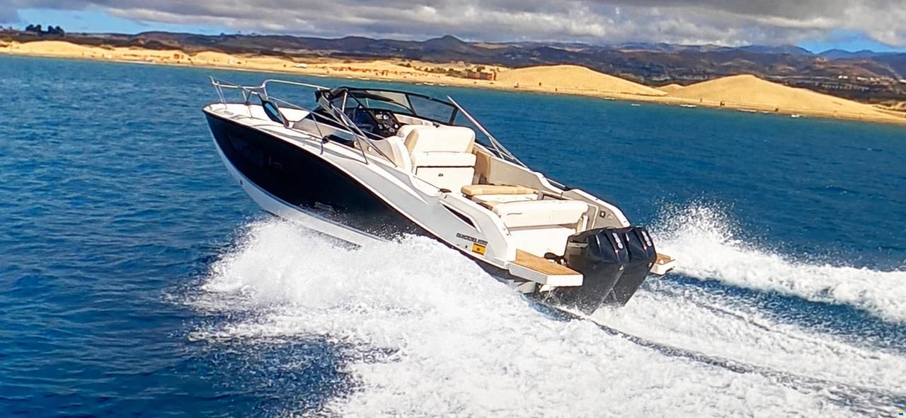 Quicksilver QS875