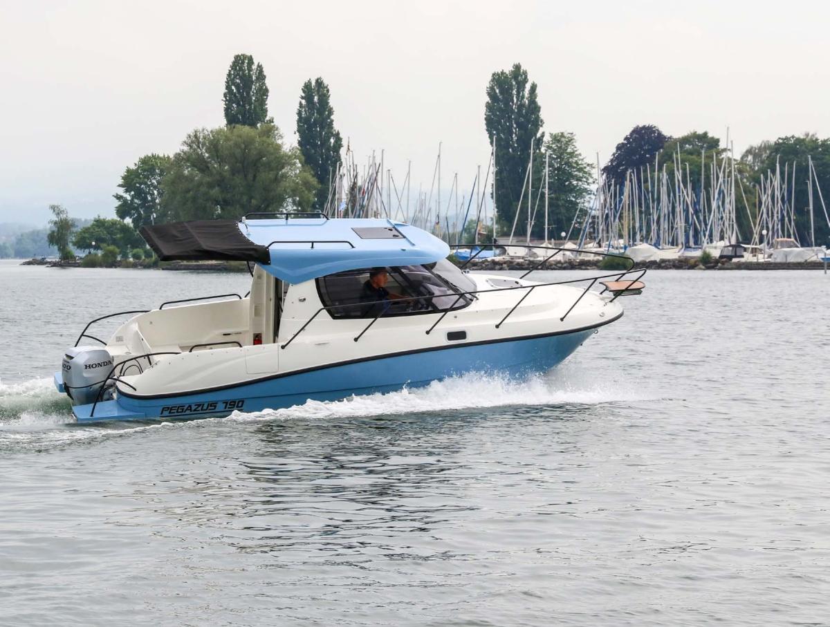 Pegazus 790  en test