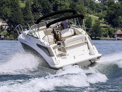 Regal 26 Express Testbericht