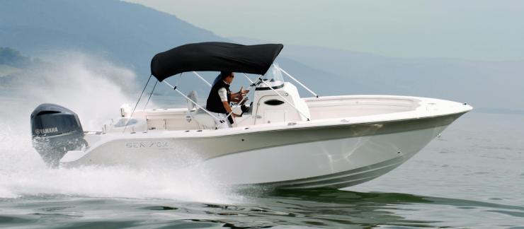Sea Fox 256 CC im Test