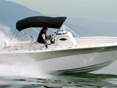 Sea Fox 256 CC Testbericht