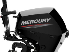 Mercury F 15 MLH EFI