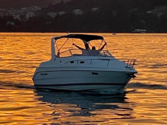 WELLCRAFT 2600 MARTINIQUE
