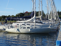 Shipman 28