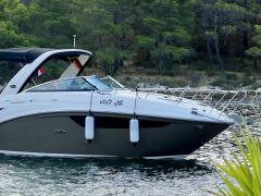 Sea Ray Sundancer 265 DAE