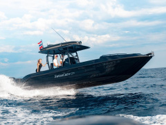 Swiss Cat 31