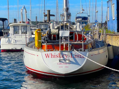 Wilenus 38