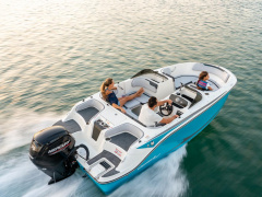 Bayliner M17