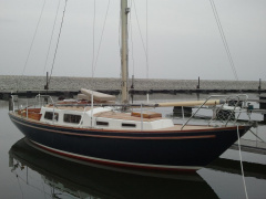 Great dane 28
