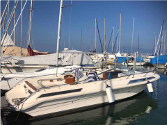 Windy 7800