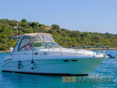 Sea Ray 365 DA