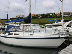 Zeilboot Cal 31
