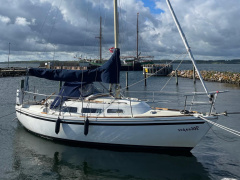 Jaguar 27