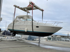 Chris Craft 282 Crowne