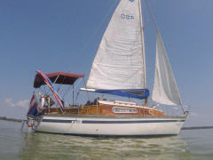 Biga 24
