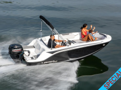 Bayliner Element M15