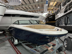 Sea Ray 190 SPX