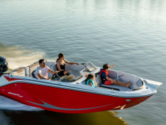 Bayliner Element M19