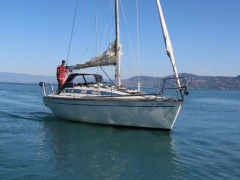 Elan 31