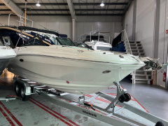 Sea Ray 250 SDXE