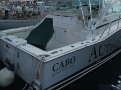 Cabo Yacht 45 Express
