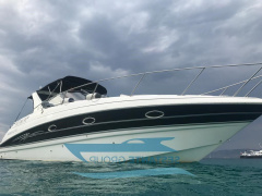 Larson Boats Cabrio 330