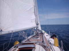 Sparkman&Stephens Bianca 36