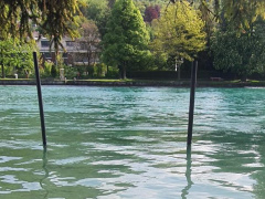 Bootsplatz Thun