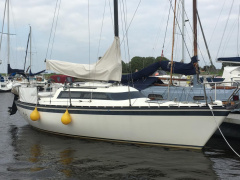 Friendship 22 Family